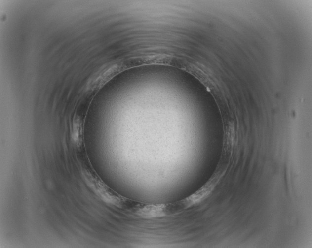 X0000085230138200703231608