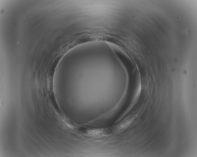 X0000085230139200703231608