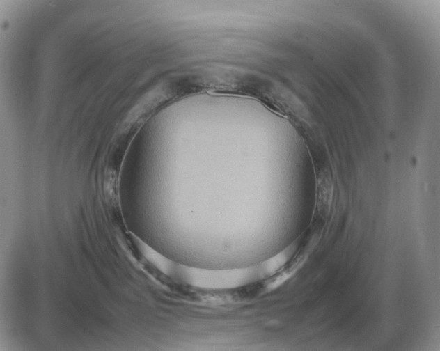 X0000085230141200703231608