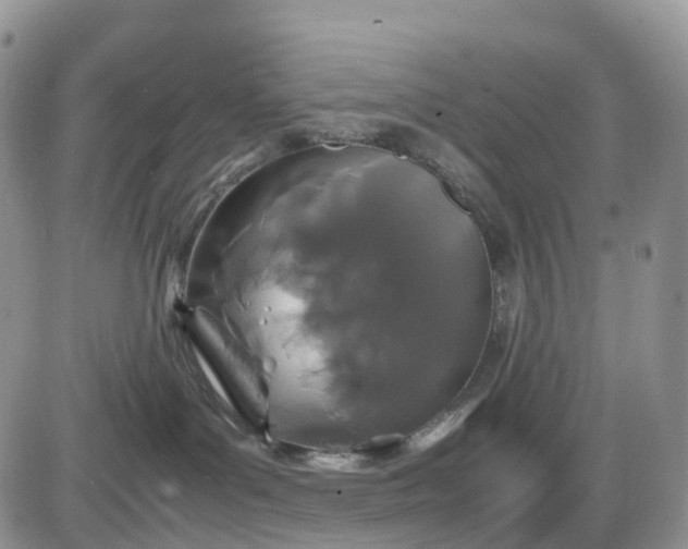 X0000085230143200703231608