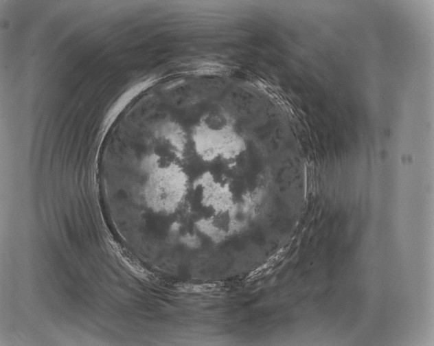 X0000085230147200703231607