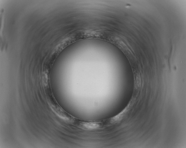 X0000085230183200703231608