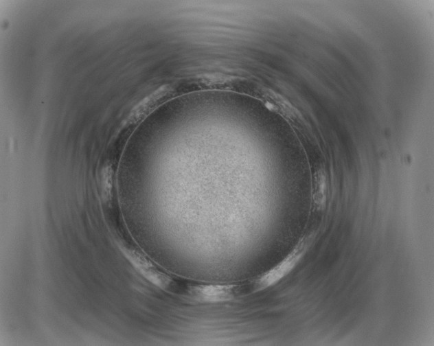 X0000085230184200703231608