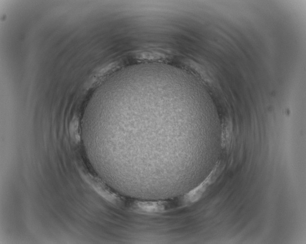 X0000085230187200703231608