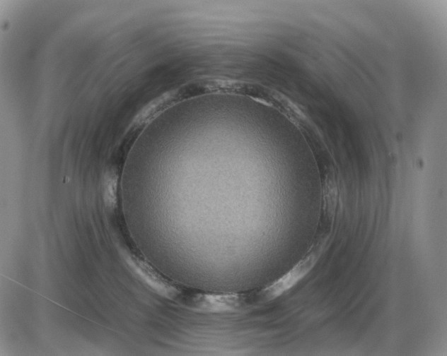X0000085230188200703231608