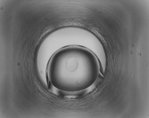 X0000085230207200703231607