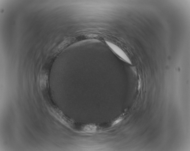 X0000085230227200703231607