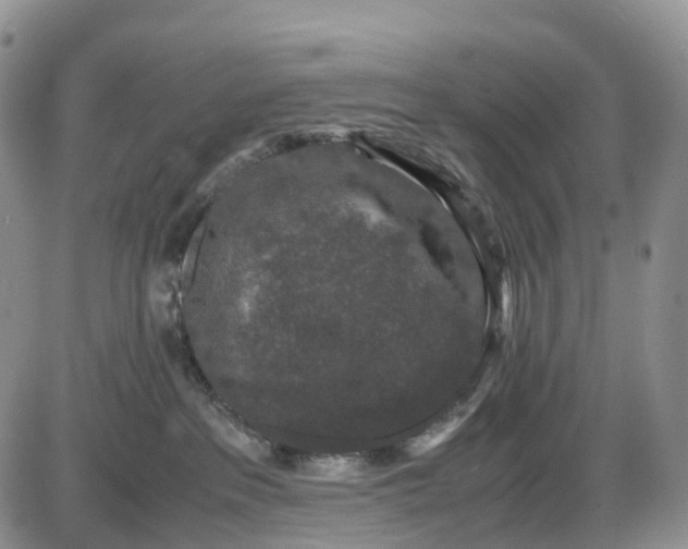 X0000085230237200703231607