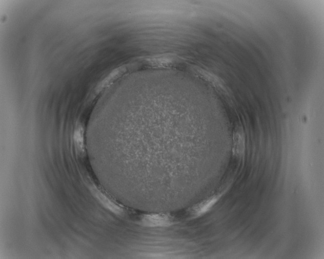 X0000085230238200703231606