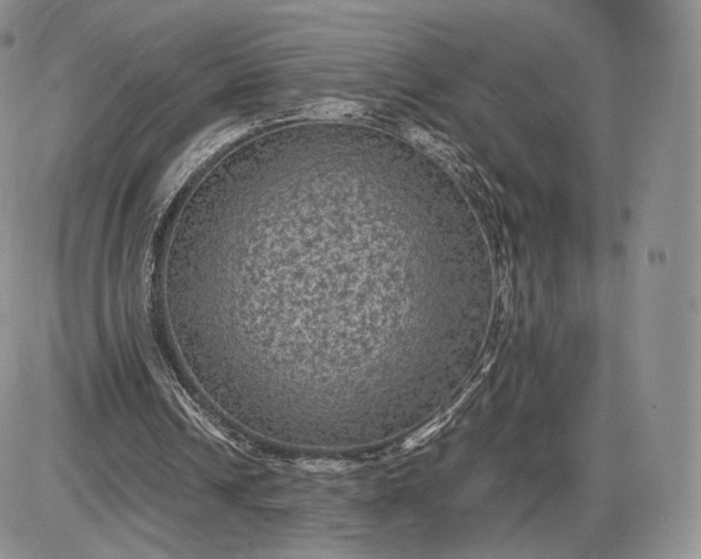X0000085230242200703231606