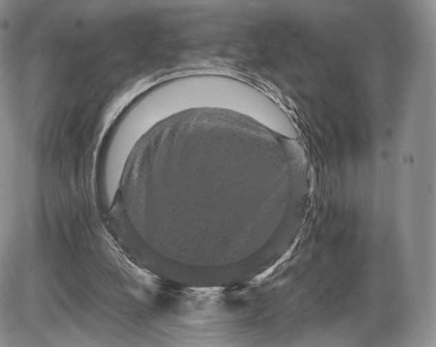 X0000085230248200703231606