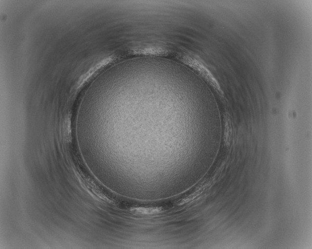 X0000085230251200703231606