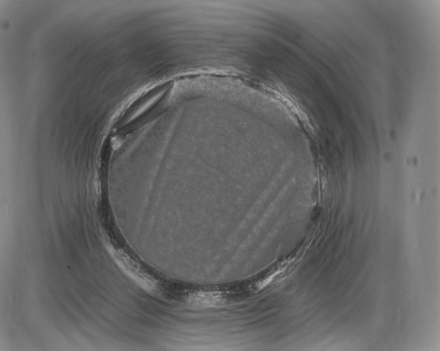 X0000085230252200703231606