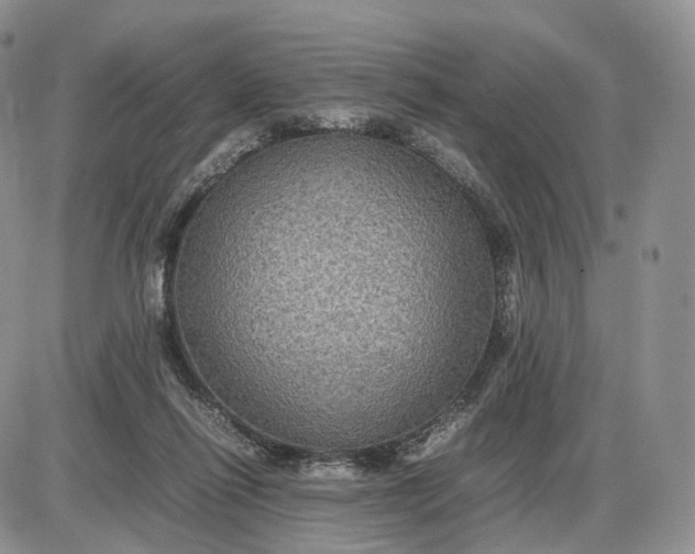 X0000085230262200703231606