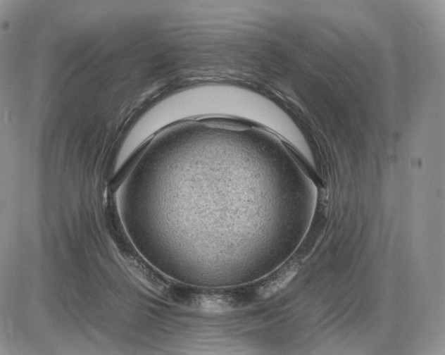 X0000085230264200703231606