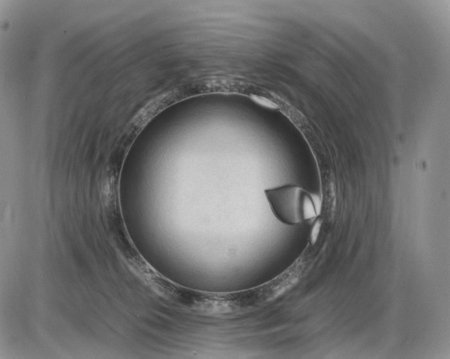X0000085230276200703231606