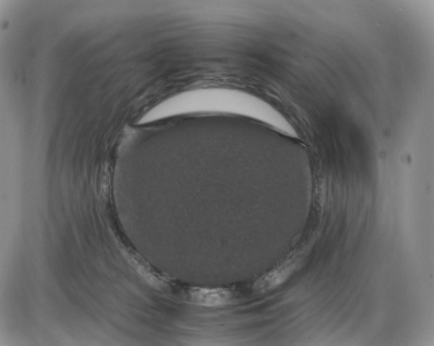 X0000085230277200703231606