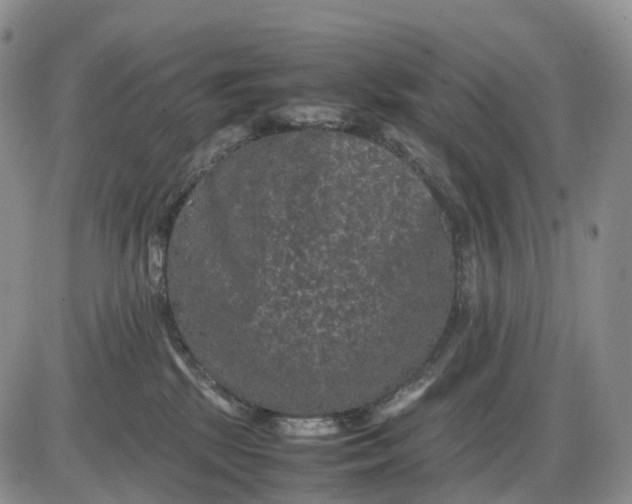 X0000085230281200703231606