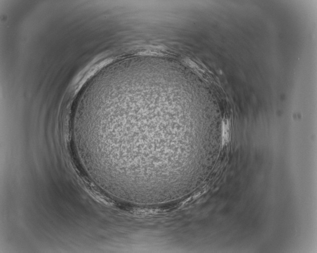 X0000085230291200703231606