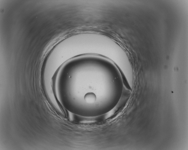 X0000085230293200703231606