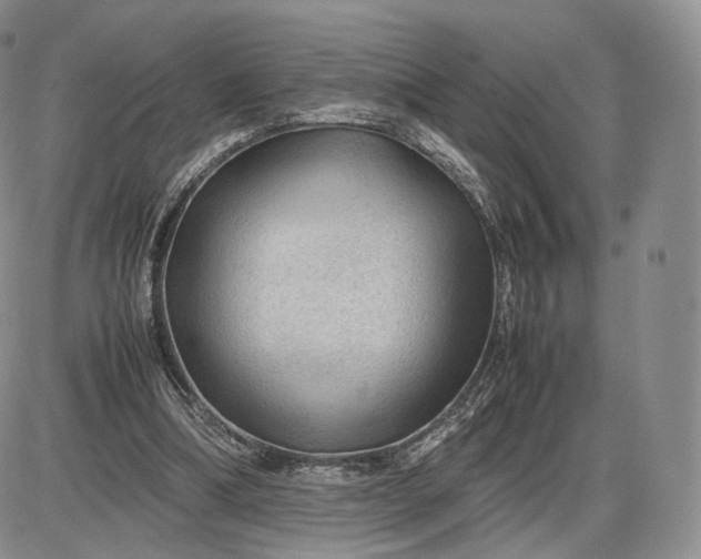 X0000085230298200703231605