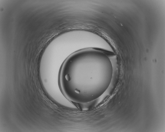 X0000085230305200703231605