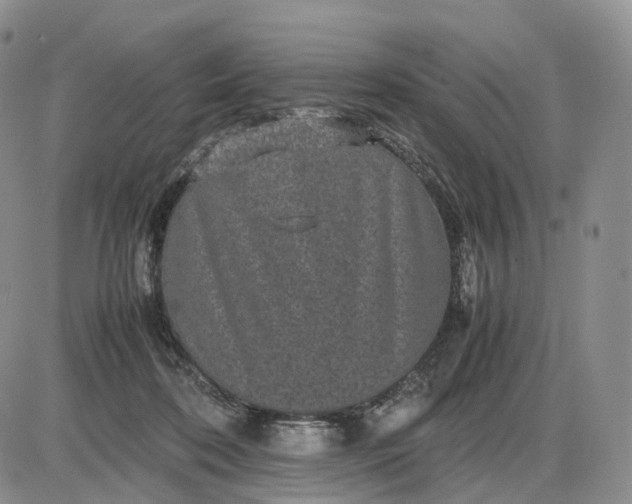 X0000085230316200703231605