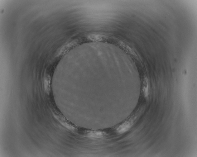 X0000085230332200703231605