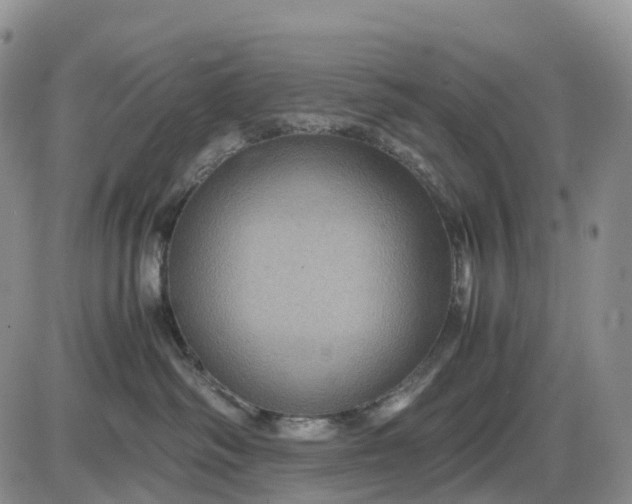 X0000085230334200703231605