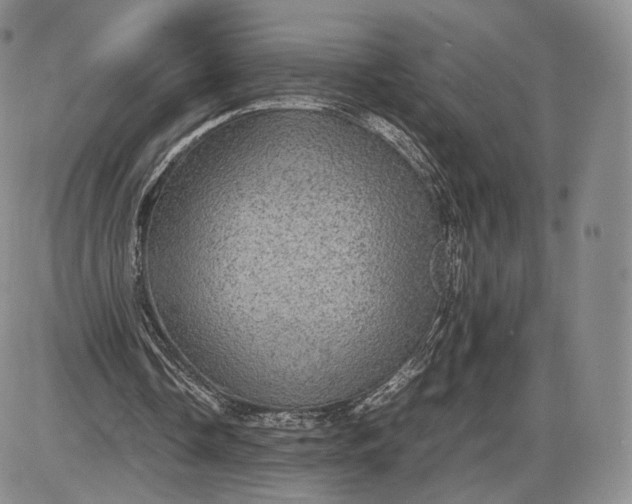 X0000085230338200703231604