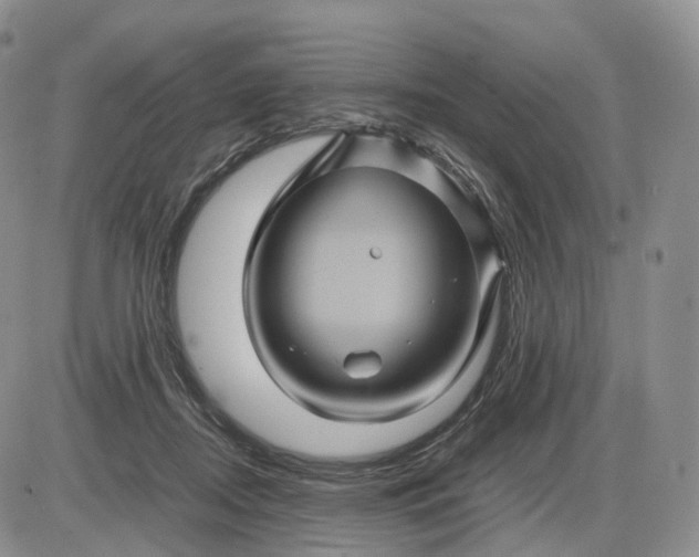 X0000085230362200703231604