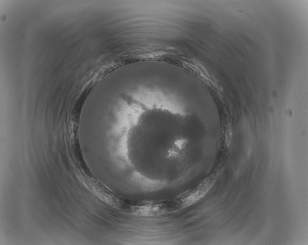 X0000085230366200703231604