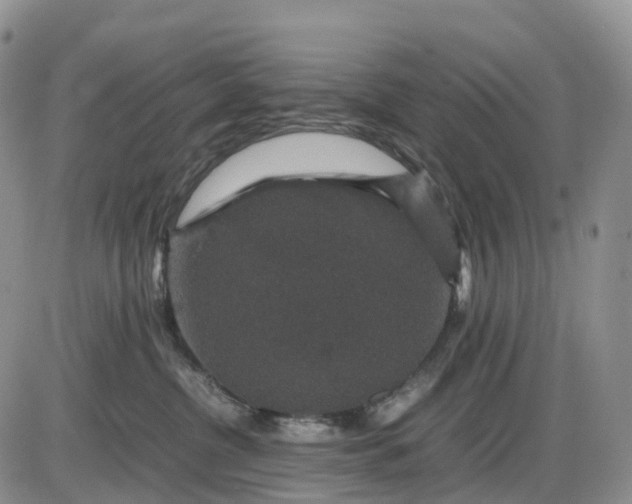 X0000085230380200703231605
