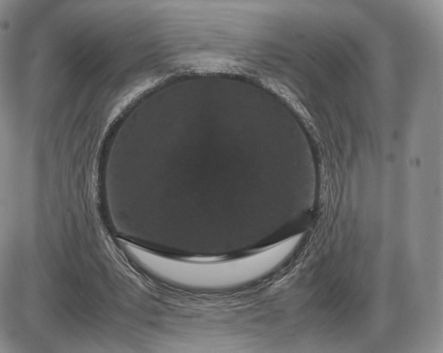 X0000085230391200703231604