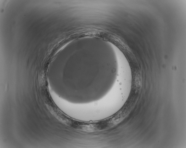 X0000085230411200703231603