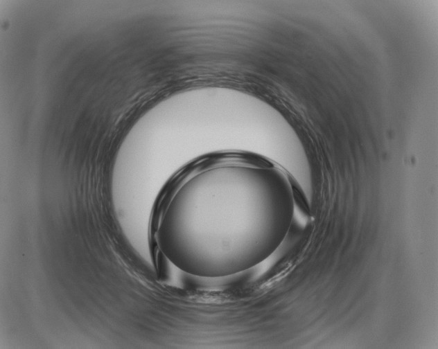 X0000085230412200703231603