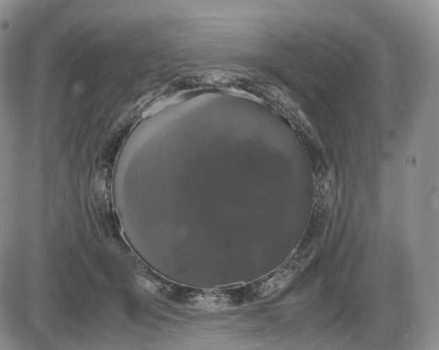 X0000085230415200703231603