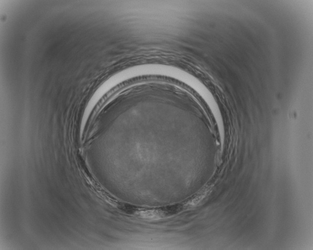 X0000085230417200703231603