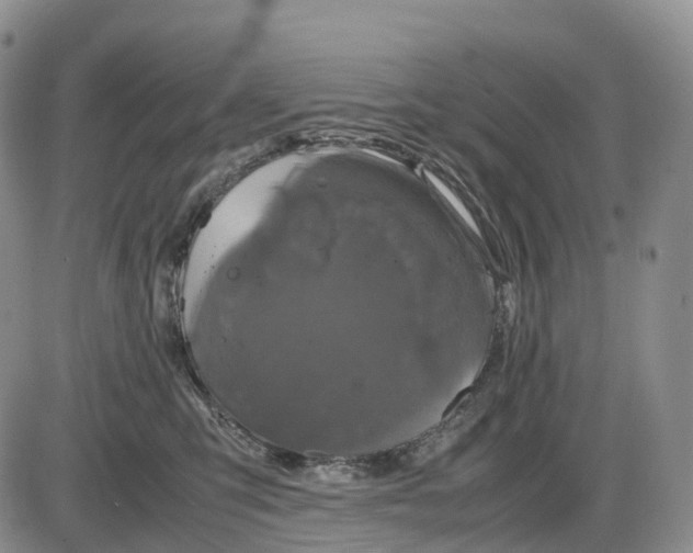 X0000085230423200703231603