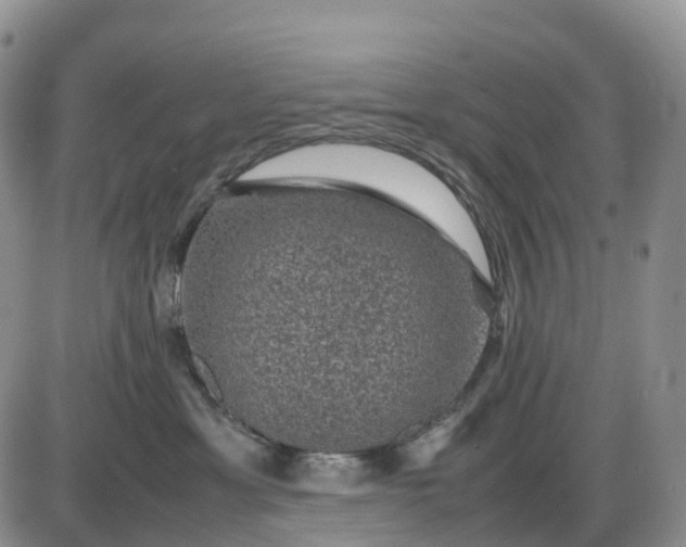 X0000085230429200703231603
