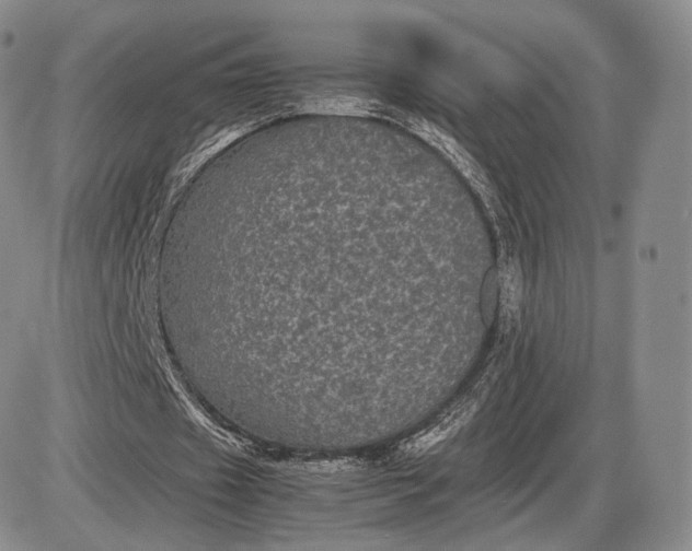 X0000085230433200703231602