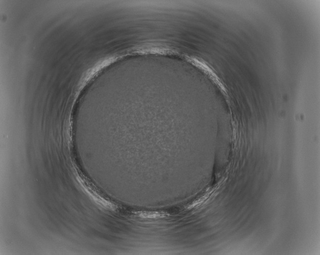 X0000085230439200703231602