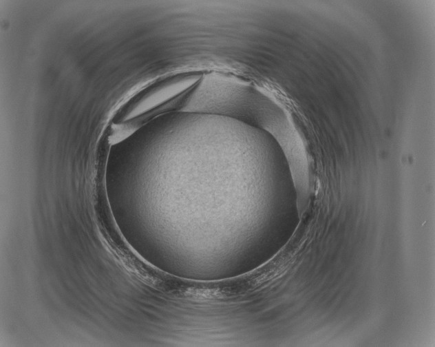 X0000085230440200703231602