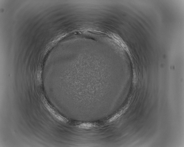 X0000085230441200703231602