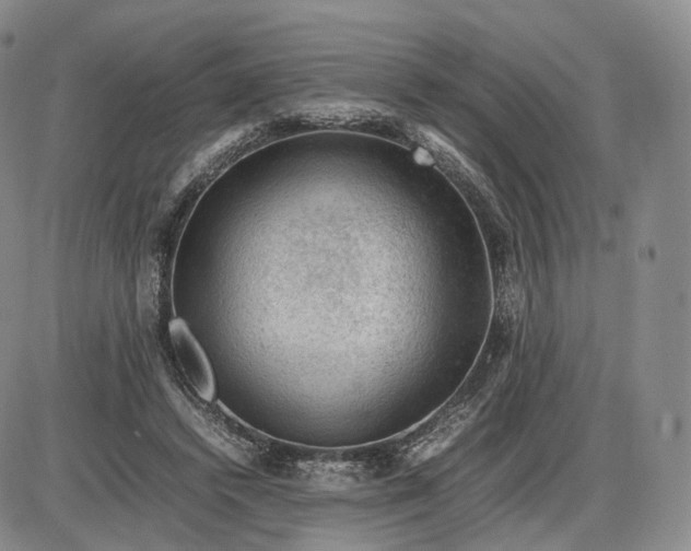 X0000085230448200703231602