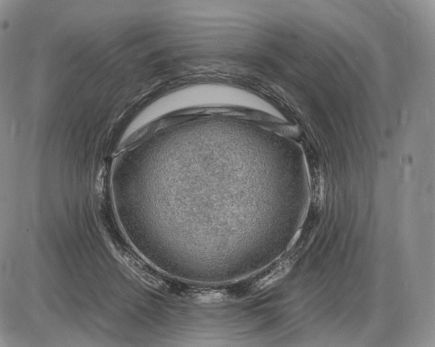 X0000085230456200703231603