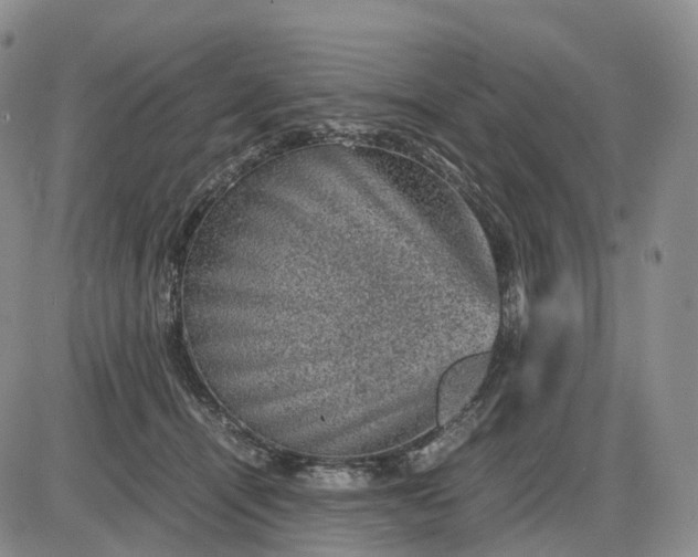 X0000085230464200703231603
