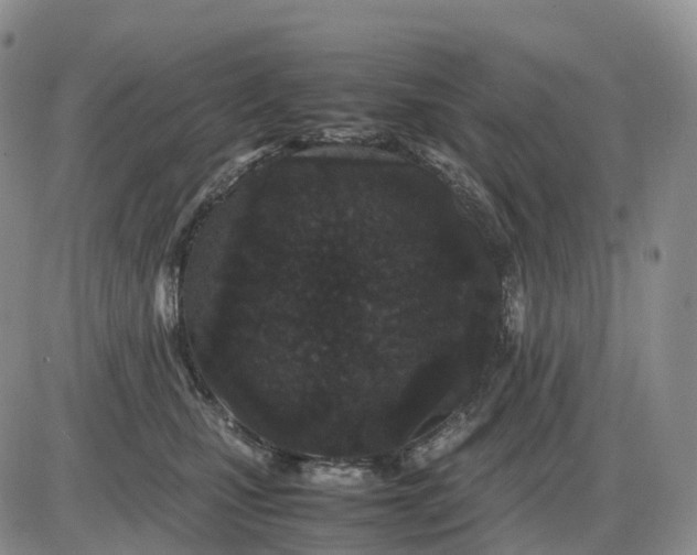 X0000085230471200703231603