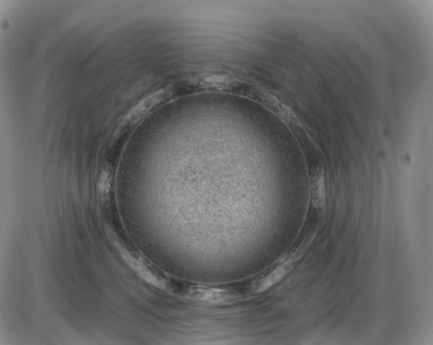 X0000085230472200703231603