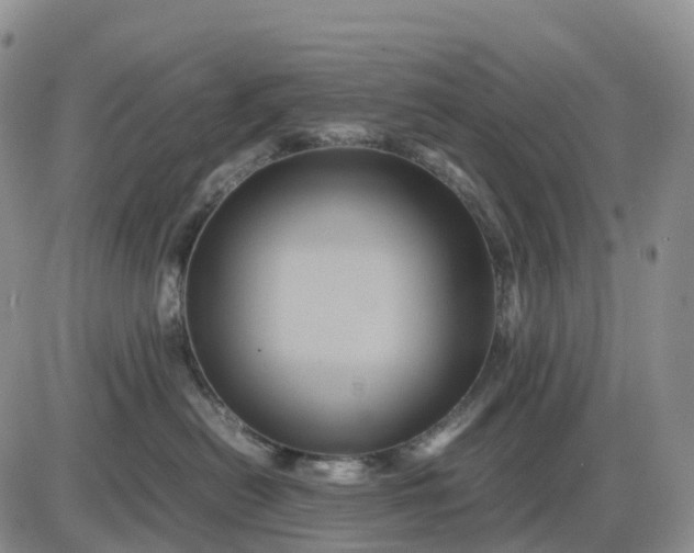X0000085230478200703231603